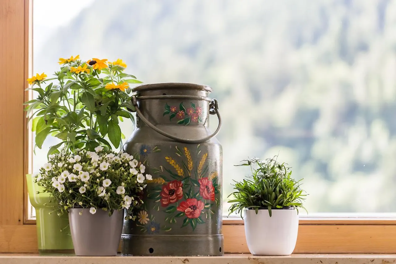 Apartment Ferienwohnung Wildgrün Pfronten